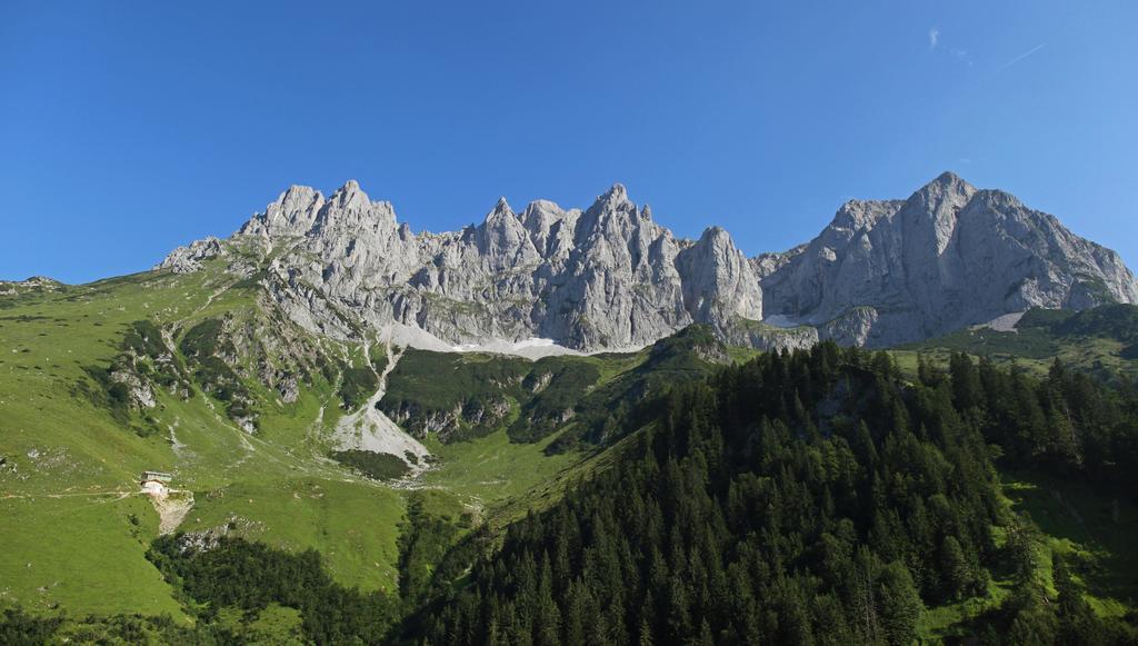 Rainerkraemer Διαμέρισμα Scheffau am Wilden Kaiser Εξωτερικό φωτογραφία